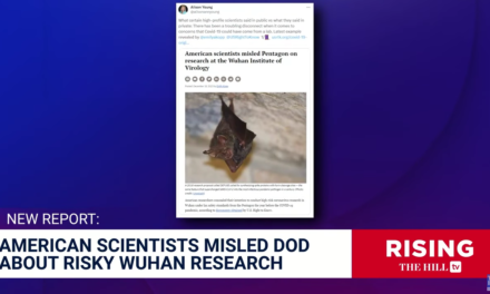 Covid Scientists Exposed Providing Misleading Information